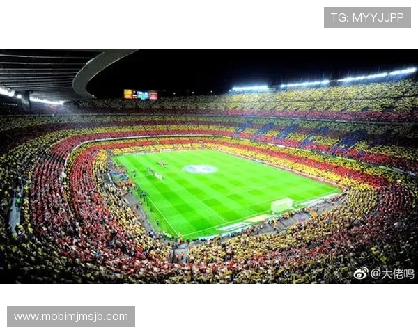 亚洲足球世界杯名额分配现状与未来调整方案全面分析与专家观点汇总